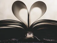 Сердце из страниц книги