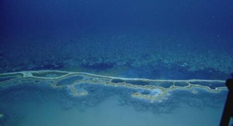 Подводное «озеро смерти» в США убивает все живое