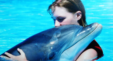 Ученые выяснили, что для дельфинов губителен контакт с людьми