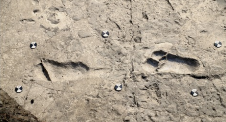 В Танзании нашли самые древние отпечатки ног предка человека