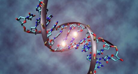 Ученые: Узлы молекул ДНК можно распутать