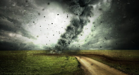 Суперкомпьютер World One предсказывает конец человечества к 2050 году