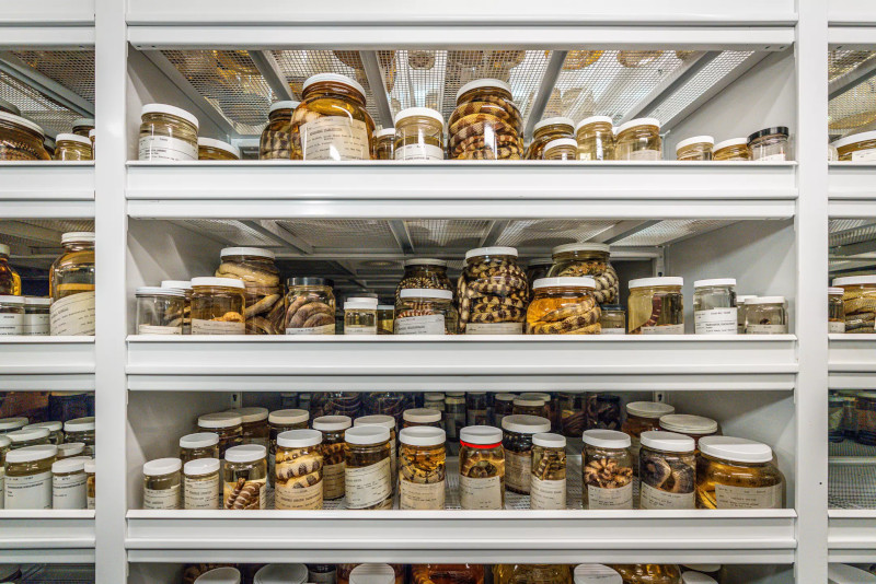 Инициатива о бесплатных лекарствах не прошла одобрение правительства РФ