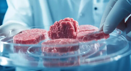 На рынок Сингапура поступило лабораторное мясо из Австралии