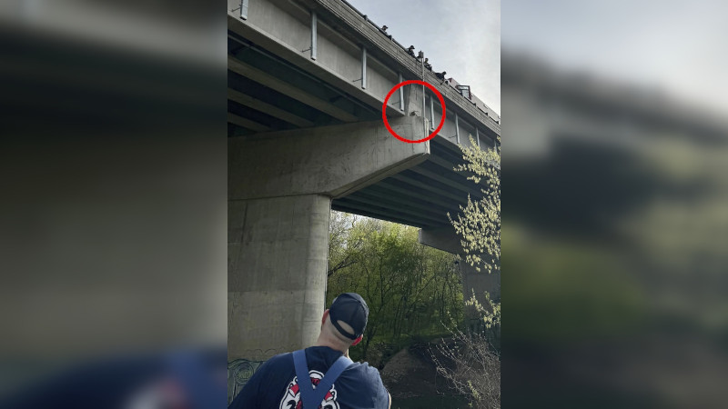Горный козел оказался под мостом в Канзас-Сити и в конце концов был спасен