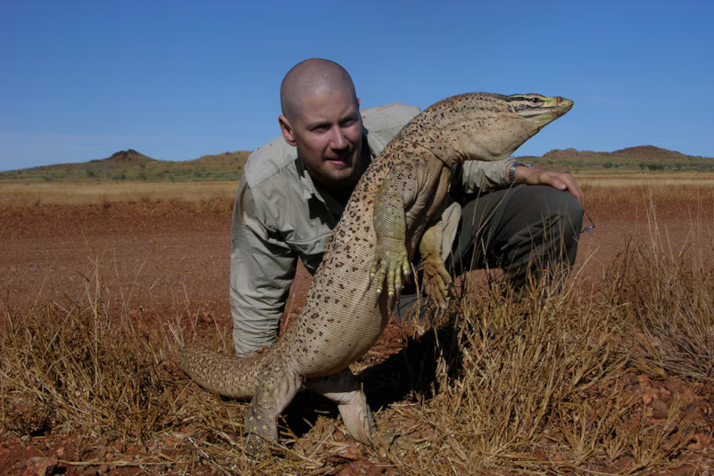 Эволюционная гонка вооружений между варанами и ядовитыми змеями Австралии