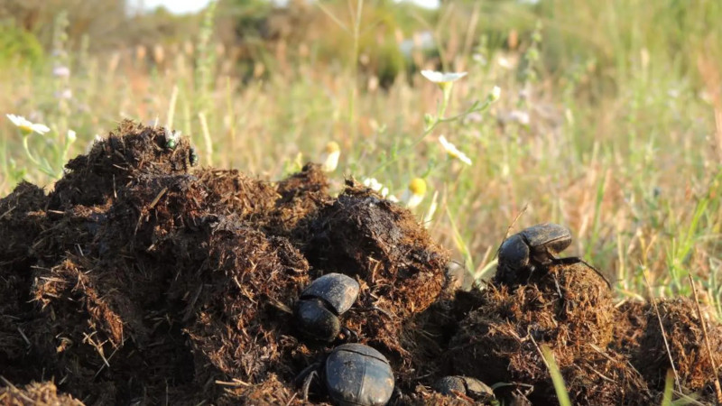 Россиян предупредили: лечение по ОМС от ВИЧ и туберкулеза идет только на платной основе