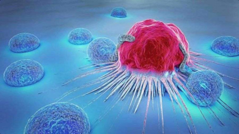 Активация иммунной системы на борьбу с раком