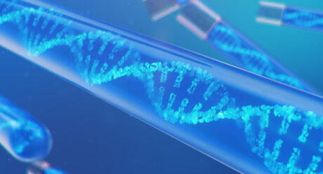 Неизвестное будущее искусственных человеческих хромосом