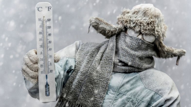 В Копенгагене прошло исследование, раскрывающее тайну языка Теотиуакана