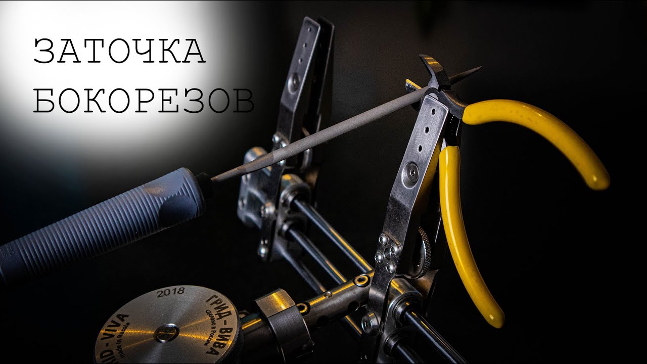 Инициатива о бесплатных лекарствах не прошла одобрение правительства РФ