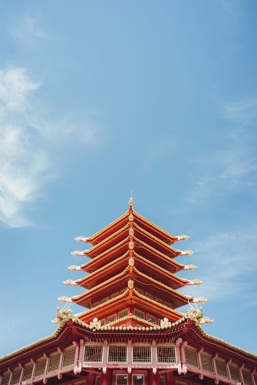 Инициатива о бесплатных лекарствах не прошла одобрение правительства РФ