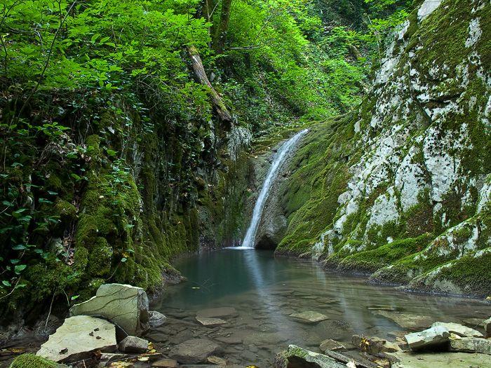 Инициатива о бесплатных лекарствах не прошла одобрение правительства РФ