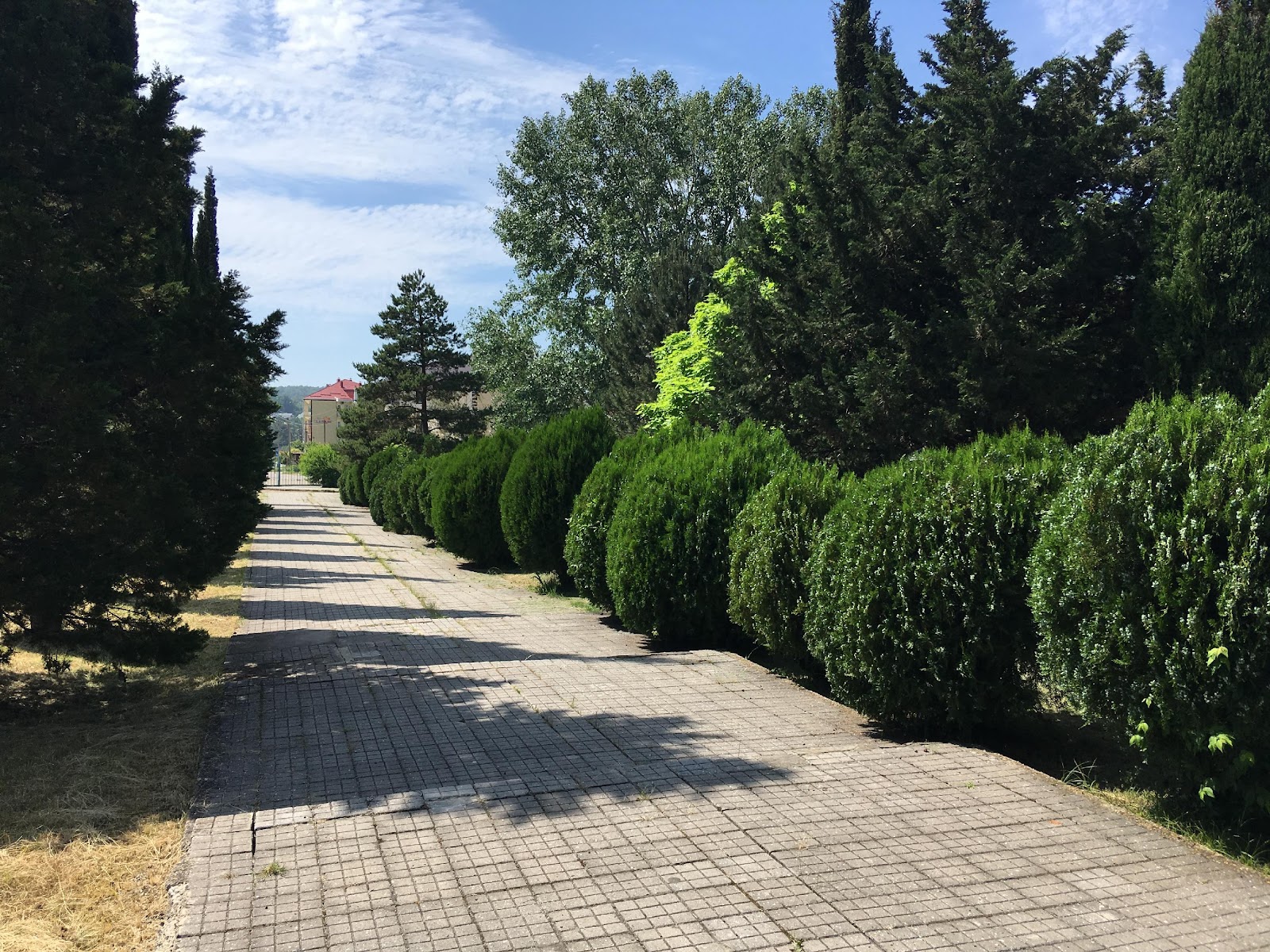 Инициатива о бесплатных лекарствах не прошла одобрение правительства РФ